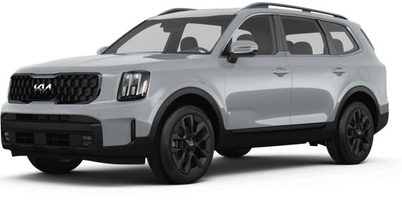 KIA TELLURIDE 2025 5XYP5DGC6SG609923 image