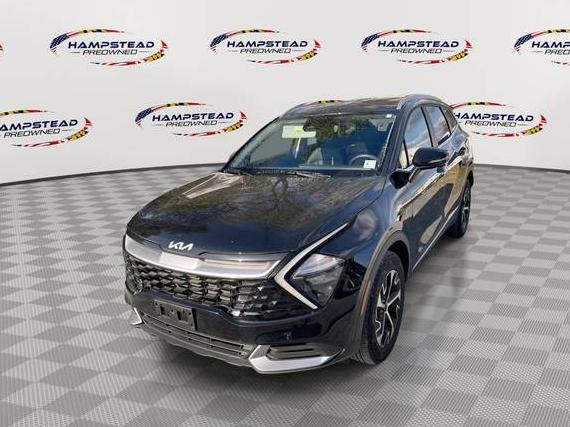 KIA SPORTAGE 2023 5XYK3CAF1PG006852 image