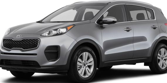 KIA SPORTAGE 2019 KNDPMCACXK7493113 image