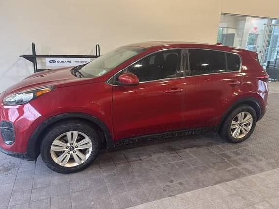 KIA SPORTAGE 2019 KNDPM3ACXK7598234 image