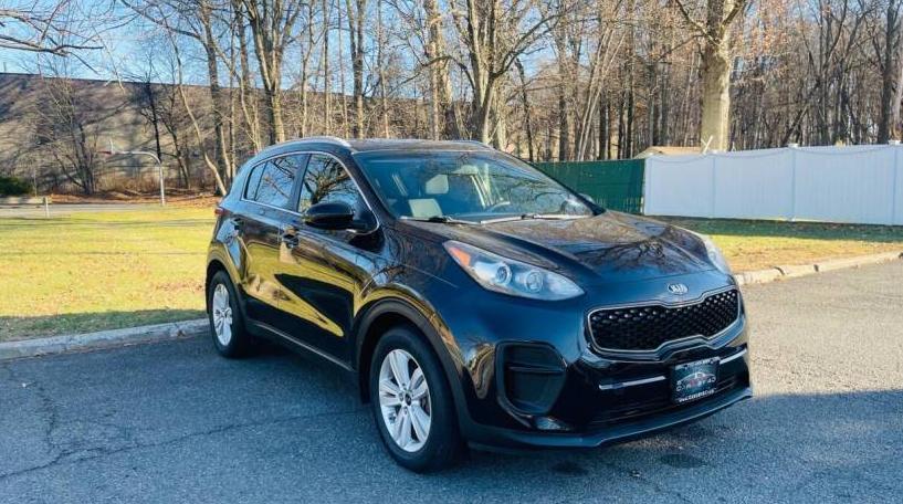 KIA SPORTAGE 2017 KNDPM3AC3H7217848 image