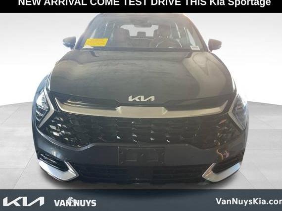 KIA SPORTAGE 2024 5XYK53DF3RG139329 image