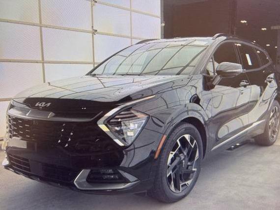 KIA SPORTAGE 2024 5XYK53DF6RG140300 image