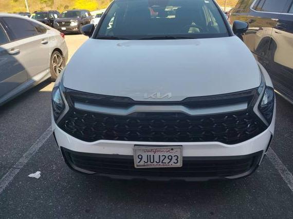 KIA SPORTAGE 2024 5XYK6CDF9RG159369 image