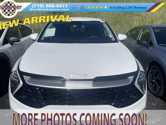 KIA SPORTAGE 2024 5XYK33DF6RG141503 image