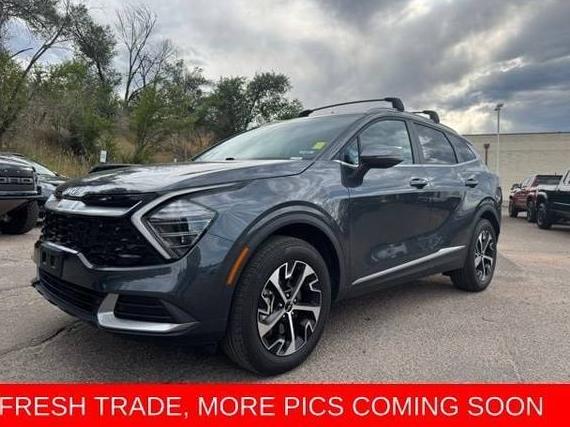 KIA SPORTAGE 2024 5XYK3CDF4RG151740 image