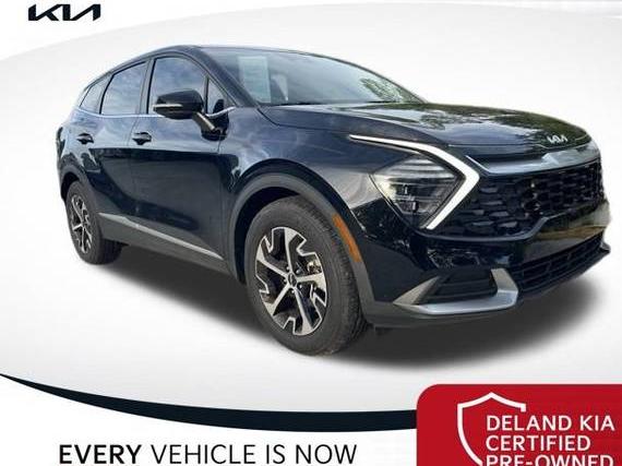 KIA SPORTAGE 2024 5XYK33DF9RG192607 image