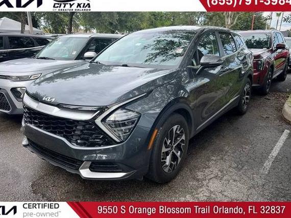 KIA SPORTAGE 2024 5XYK33DF9RG229445 image