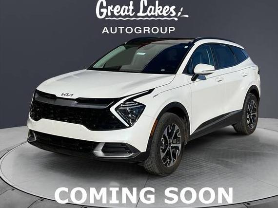 KIA SPORTAGE 2025 KNDPVCDG1S7185582 image