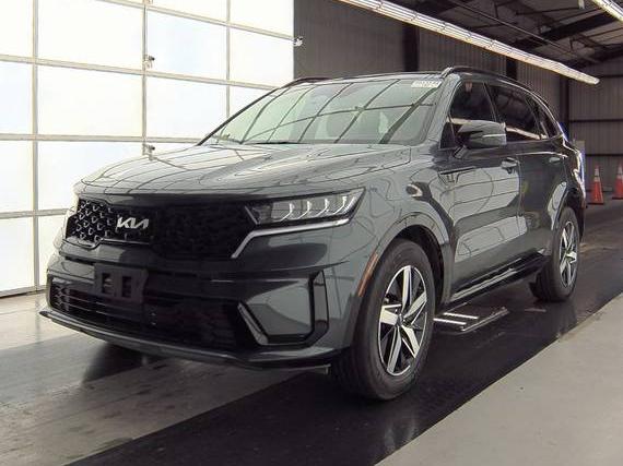 KIA SORENTO 2023 5XYRL4LC9PG222553 image