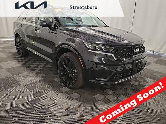 KIA SORENTO 2023 5XYRKDLF5PG248323 image