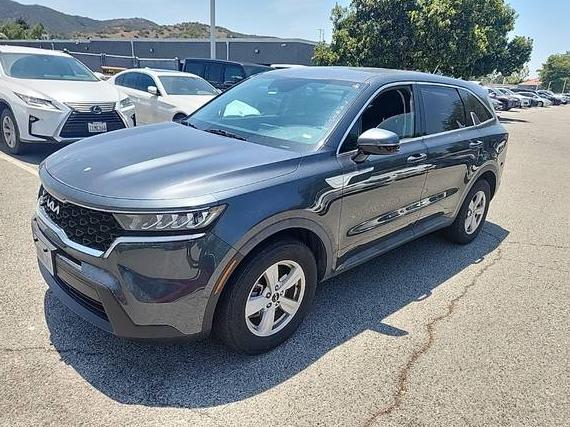 KIA SORENTO 2023 5XYRG4LC4PG165442 image