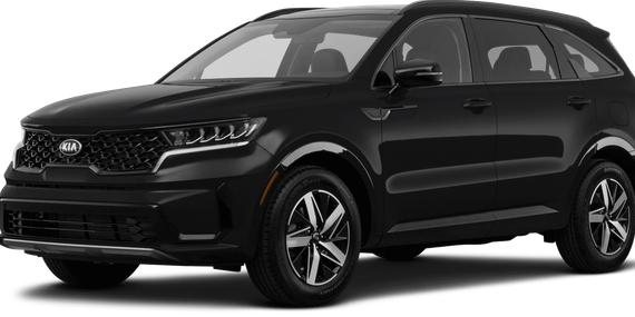 KIA SORENTO 2023 5XYRG4LC5PG201445 image