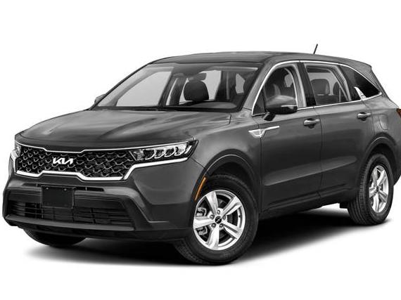 KIA SORENTO 2023 5XYRG4LC0PG163946 image
