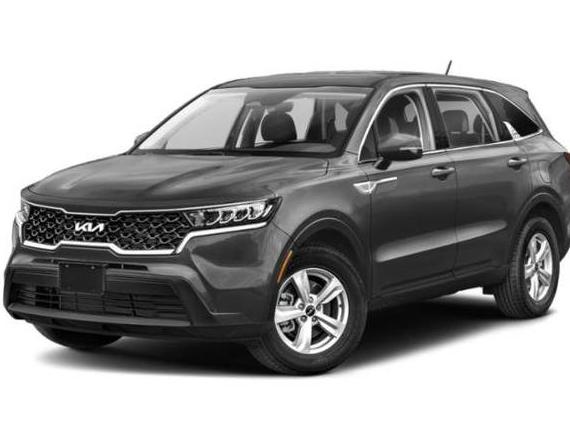 KIA SORENTO 2023 5XYRG4LC8PG174550 image