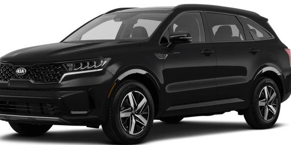 KIA SORENTO 2023 5XYRG4LC8PG249148 image
