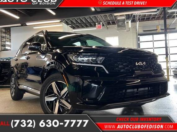 KIA SORENTO 2023 5XYRL4LCXPG172729 image
