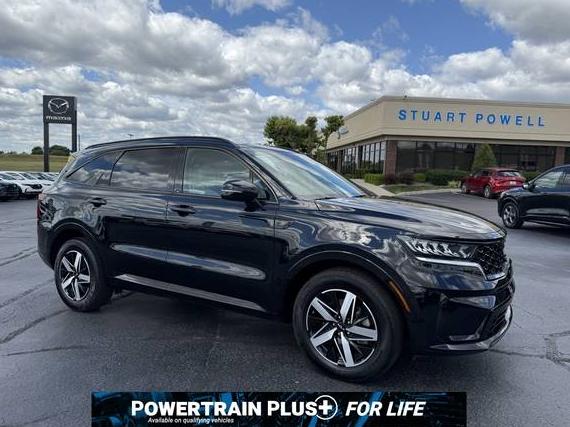 KIA SORENTO 2023 5XYRL4LC3PG220393 image