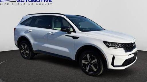 KIA SORENTO 2023 5XYRL4LC3PG253281 image