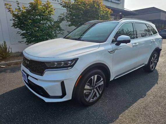 KIA SORENTO 2023 KNDRKDLG2P5145068 image