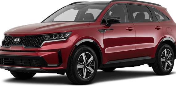 KIA SORENTO 2023 5XYRG4LC3PG238803 image