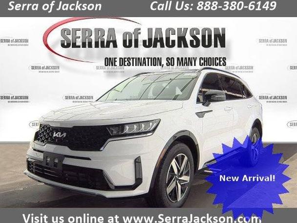 KIA SORENTO 2023 5XYRL4LC0PG246241 image