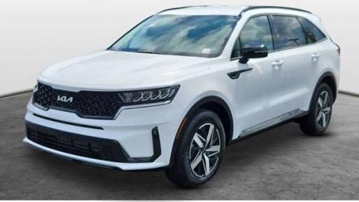 KIA SORENTO 2023 5XYRL4LC8PG224827 image