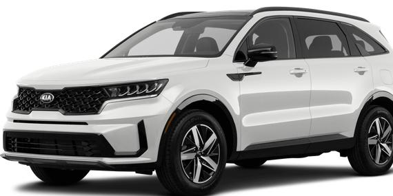 KIA SORENTO 2023 5XYRL4LC3PG184379 image