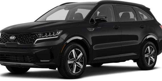 KIA SORENTO 2023 5XYRL4LC1PG189886 image