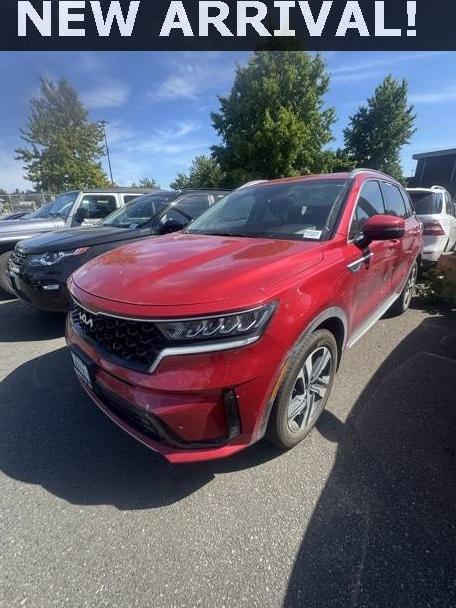 KIA SORENTO 2023 KNDRHDLG8P5201013 image