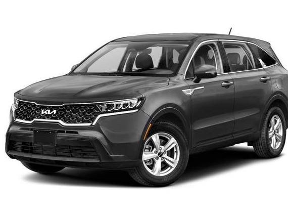 KIA SORENTO 2023 5XYRG4LC6PG204919 image
