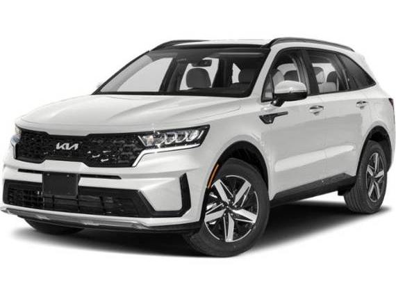 KIA SORENTO 2023 5XYRL4LCXPG168566 image