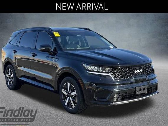 KIA SORENTO 2023 5XYRL4LC4PG238451 image