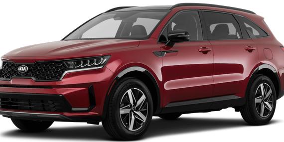 KIA SORENTO 2023 5XYRL4LC6PG225359 image