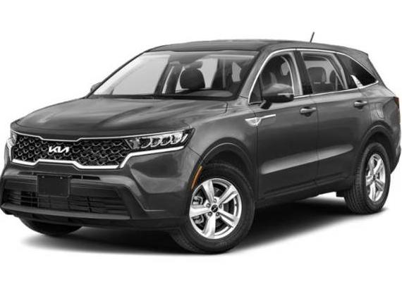 KIA SORENTO 2023 5XYRG4LCXPG231797 image