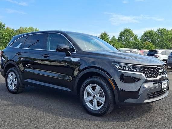 KIA SORENTO 2023 5XYRGDLC7PG251666 image