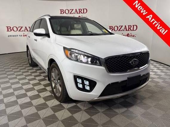 KIA SORENTO 2016 5XYPKDA58GG143907 image