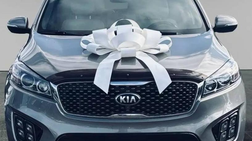 KIA SORENTO 2016 5XYPK4A58GG108123 image