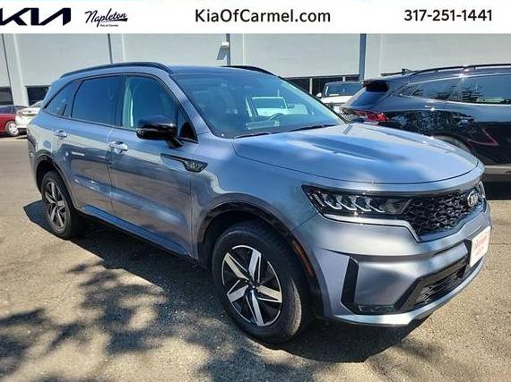 KIA SORENTO 2021 5XYRHDLFXMG058284 image