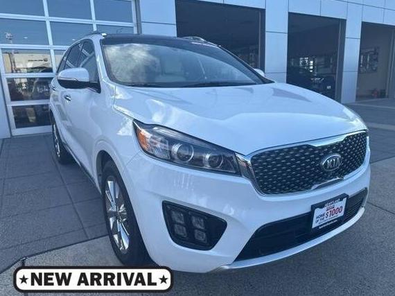 KIA SORENTO 2017 5XYPKDA51HG232526 image