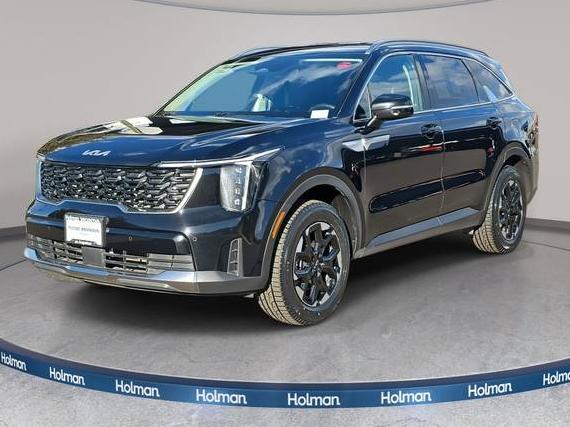 KIA SORENTO 2024 5XYRLDJC8RG289070 image