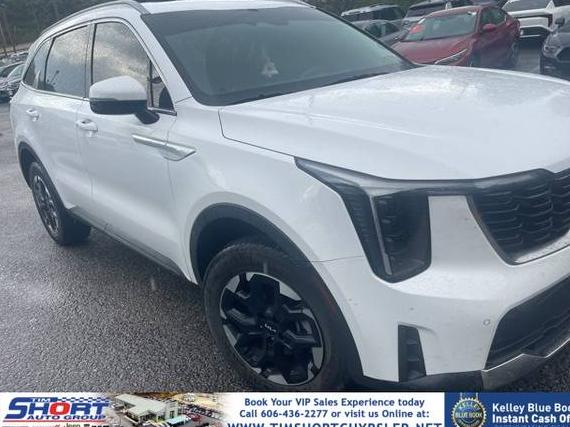 KIA SORENTO 2024 5XYRLDJC1RG256797 image