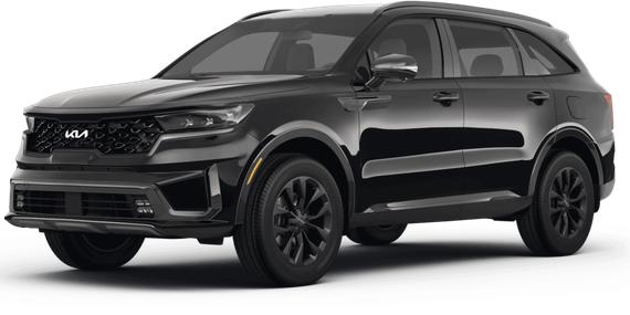 KIA SORENTO 2024 5XYRG4JC8RG304199 image