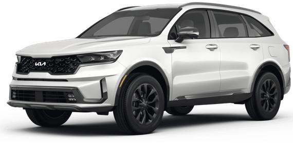 KIA SORENTO 2024 5XYRG4JC6RG305111 image