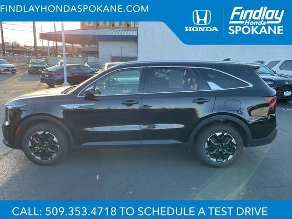 KIA SORENTO 2024 5XYRLDJC3RG269230 image