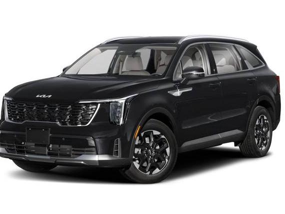 KIA SORENTO 2024 5XYRLDJC5RG273229 image