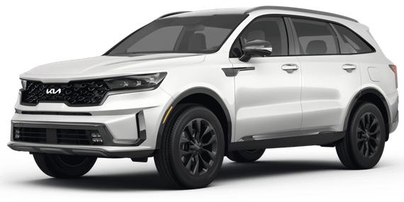 KIA SORENTO 2024 5XYRG4JC6RG300412 image