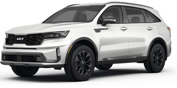 KIA SORENTO 2024 5XYRG4JC8RG272239 image
