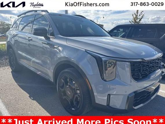 KIA SORENTO 2024 5XYRHDJF9RG268725 image