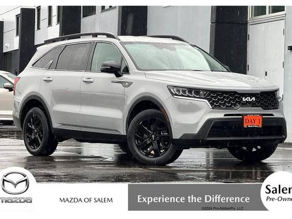 KIA SORENTO 2022 5XYRLDLC9NG098989 image